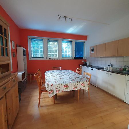 Zentral Gelegene Wohnung Mit Grossem Garten Интерлакен Экстерьер фото